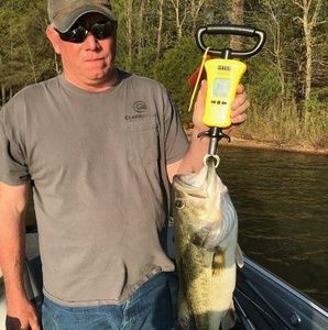 Meet your Posher, Bobbie